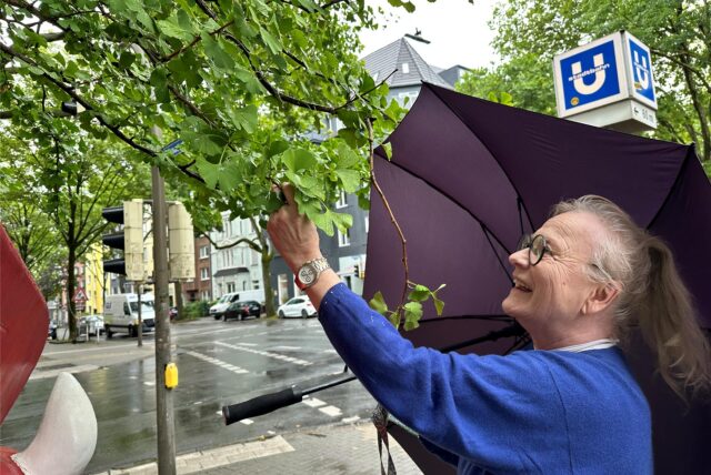 Rosane W. schaut sich die Blätter der Ginkgo-Baumes an.