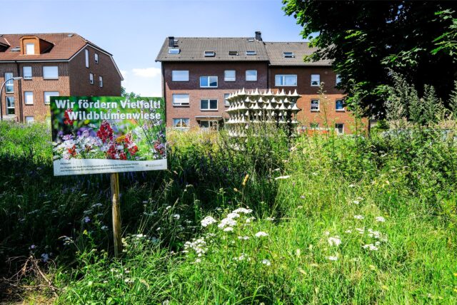 Eine Wildblumenwiese und dahinter – fast versteckt – Kunst im öffentlichen Raum in Recklinghausen-Ost.