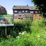 Eine Wildblumenwiese und dahinter – fast versteckt – Kunst im öffentlichen Raum in Recklinghausen-Ost.