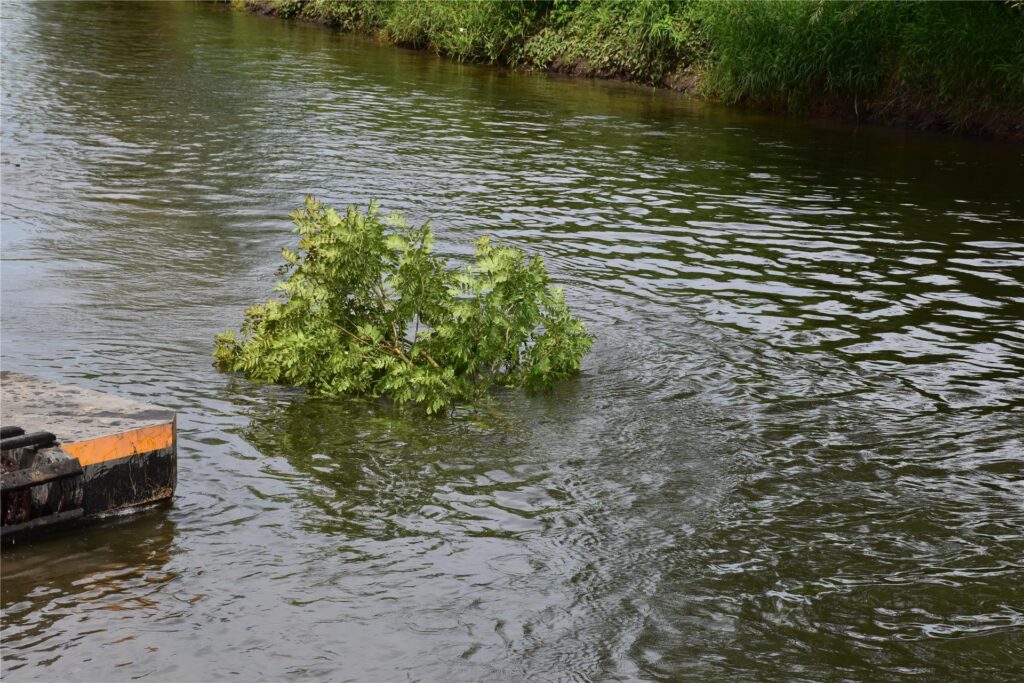 Ein Schwimmbagger gräbt auf der Lippe am Ufer.
