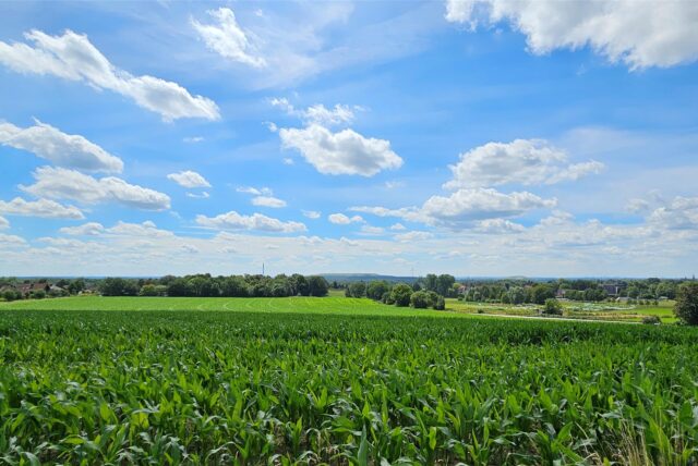 Der Blick über ein Feld in Recklinghausen-Hochlar