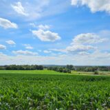 Der Blick über ein Feld in Recklinghausen-Hochlar