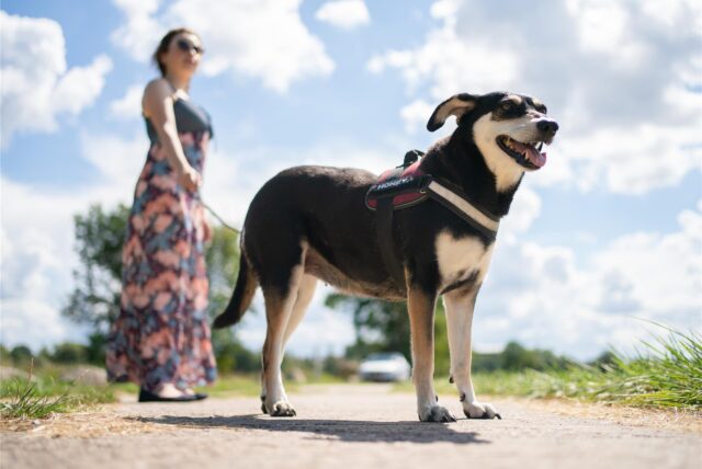 Eine Frau geht mit ihrem Hund spazieren.