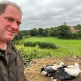 Christoph Hemsing am Storchennest mit zwei Jungstörchen