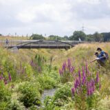 Fast 40 Forscherinnen und Forscher untersuchten die Flora und Fauna am Tag der lebendigen Emscher im Auenbereich der Emscher und wie hier auf dem Foto im und am Suderwicher Bach.