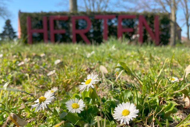 Gänseblümchen sind auf dieser Wiese in Herten-Scherlebeck im Vordergrund zu sehen, dahinter ein Herten-Schriftzug mit großen, roten Buchstaben.