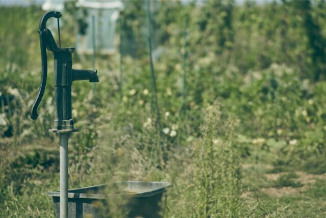 Gartenbesitzer können privat Pumpen betreiben, um Wasser aus der Erde zur Gartenbewässerung zu fördern. Auf Schwerin werden solche Brunnenbesitzer nun aufgefordert, sich beim Kreis RE zu melden.