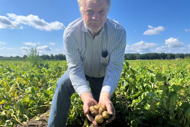 Landwirt Hubertus Natrop zeigt seine Kartoffeln.