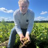 Landwirt Hubertus Natrop zeigt seine Kartoffeln.