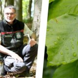 Förster Karl-Heinz Schlott ist froh über den regenreichen Sommer.