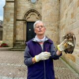 Gudrun Hartisch hält den Jungfalken mit einem Handschuh auf der Hand.