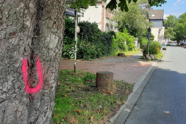 Der Buchstabe „U“ ist in roter Farbe auf einen Baum an der Viktoriastraße gesprüht.