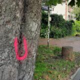 Der Buchstabe „U“ ist in roter Farbe auf einen Baum an der Viktoriastraße gesprüht.