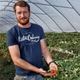 Ein Mann in einem blauen T-Shirt steht vor einem Erdbeerfeld