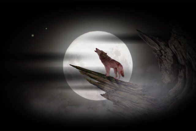 Trieb einst ein Werwolf sein Unwesen in Oer-Erkenschwick?
