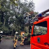 Feuerwehrmänner im Einsatz.