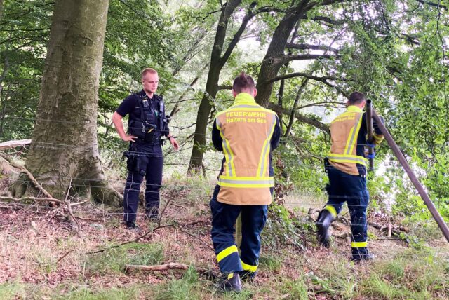 Zwei Feuerwehrmänner und ein Polizist stehen in einem Waldstück und schneiden einen Zaun durch.