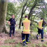 Zwei Feuerwehrmänner und ein Polizist stehen in einem Waldstück und schneiden einen Zaun durch.