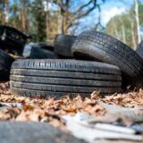 Illegal entsorgte Autoreifen liegen als Müll in einem Waldstück.