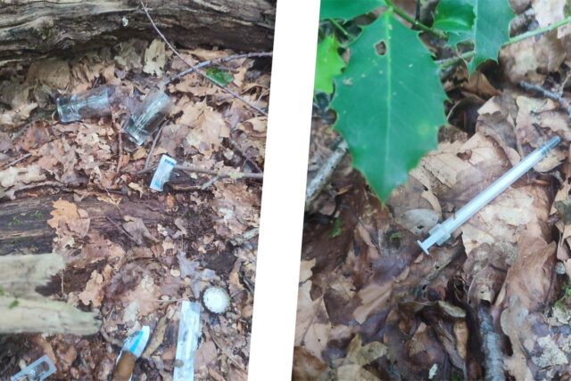 Bildcollage: Spritzen und anderer Müll liegt auf dem Waldboden.