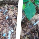 Bildcollage: Spritzen und anderer Müll liegt auf dem Waldboden.