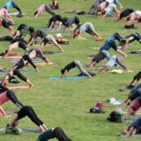 Viele Menschen machen auf einer Wiese die Yoga-Übung „Herabschauender Hund“.