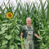 Die Feuchtigkeit, unter der Kartoffelpflanzen und Getreide gelitten haben, ist für Futtermais ein echter Wachstumsmotor. Die Pflanzen überragen Landwirt Hubert Franzen schon um einen Meter.
