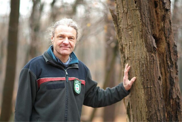 Förster Harald Klingebiel steht neben einem Baum und lehnt eine Hand an den Stamm.