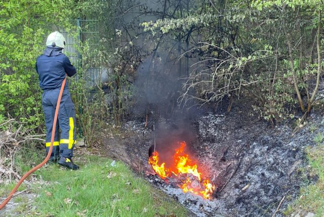 Ein Feuerwehrmann löscht einen Böschungsbrand.