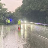 Feuerwehrleute beseitigen einen umgefallenen Baum auf einer Straße.