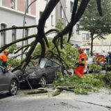 Die Feuerwehr birgt einen abgeknickten Baum in Dortmund.