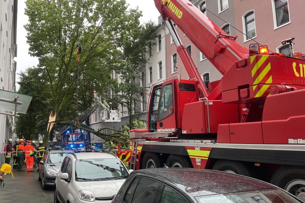 Einsatzkräfte der Feuerwehr bergen einen abgeknickten Baum in Dortmund.