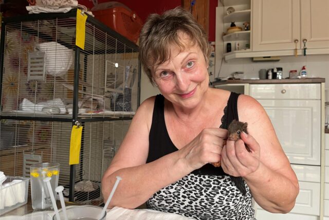 Mechthild Trippe aus Castrop-Rauxel versorgt viele kleine Eichhörnchen in ihrem Haus. Doch es gibt es ein Problem.