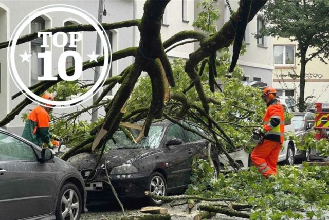 Feuerwehrleute zersägen den abgeknickten Baum.