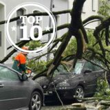 Feuerwehrleute zersägen den abgeknickten Baum.