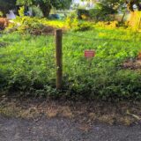 Die Stadt hat den Weg gesperrt.