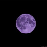 Blauer Supermond Haltern Fotografie Himmel