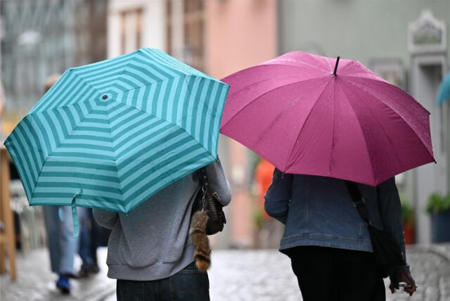 Ein aufgespannter schwarzer Regenschirm liegt auf einem grünen Busch.