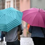 Ein aufgespannter schwarzer Regenschirm liegt auf einem grünen Busch.