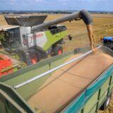 Ein Mähdrescher vom Landwirtschaftsbetrieb entlädt Weizen in den Hänger eines wartenden Traktors.