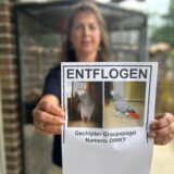 Christiane Hemmert aus Dorsten hält einen Flyer in der Hand, auf dem zwei Fotos ihres verschwundenen Graupapageien Dinky abgedruckt sind.