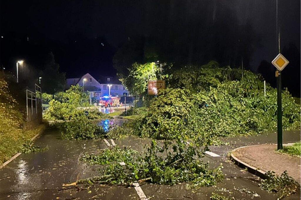 Viele Bäume sind in Attendorn umgestürzt, mutmaßlich durch einen Tornado. Viele Bäume sind in Attendorn umgestürzt, mutmaßlich durch einen Tornado.