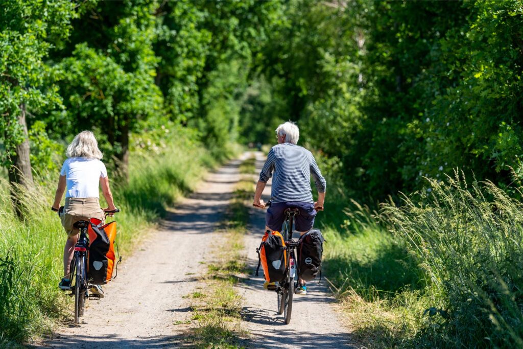 Zwei Radfahrer unterwegs auf einem Waldweg. Zwei Radfahrer unterwegs auf einem Waldweg.