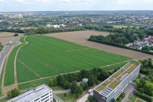 Der mögliche Plan B aus der Vogelperspektive, aufgenommen am 26. August 2024: An die Gebäude der Fachhochschule am Campus-Nord (unten) schließt sich Ackerfläche an. Wenn aus dem Umzug ins Hafenquartier nichts werden sollte, gibt es zwei Alternativen. Eine davon ist die Bebauung dieser Fläche.