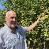 Werner Locker beim Apfelpfllücken an einem Baum auf der Streuobstwiese in Schwieringhausen.