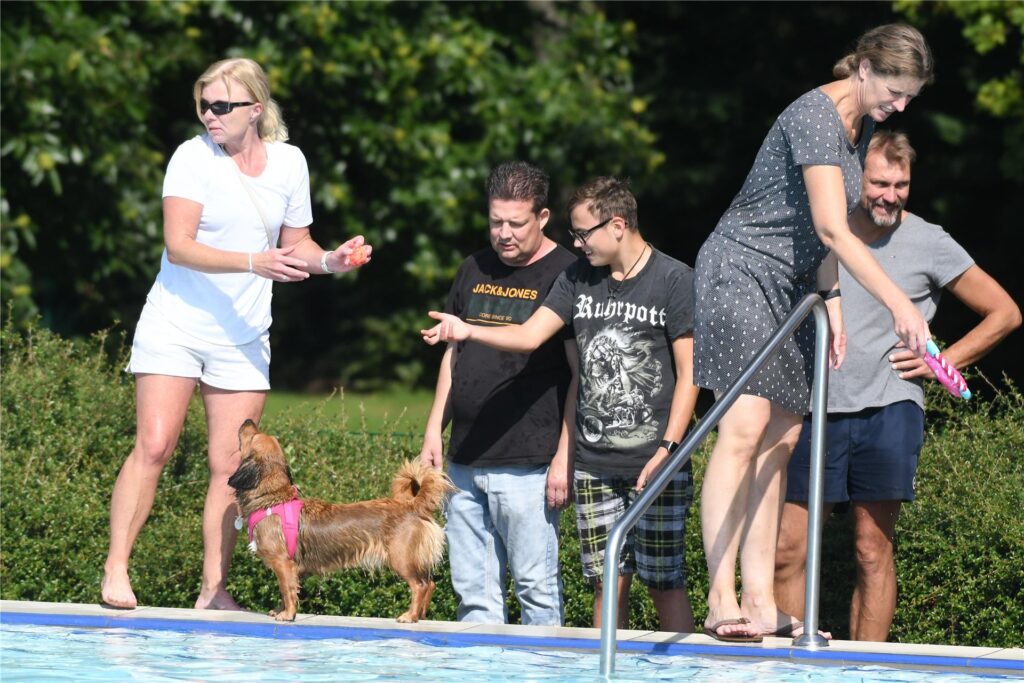 Das Hundeschwimmen ist der traditionelle Abschluss der Freibad-Saison in Castrop-Rauxel. Ehe das Wasser abgelassen wird, können die Tiere noch die Anlage genießen. 