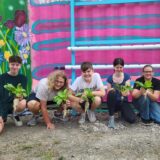 Gemeinsam setzen sich Jugendliche mit der Gruppe Umweltpunkt für mehr Nachhaltigkeit in Castrop-Rauxel ein. Das neueste Projekt ist eine Hydroponik-Anlage.