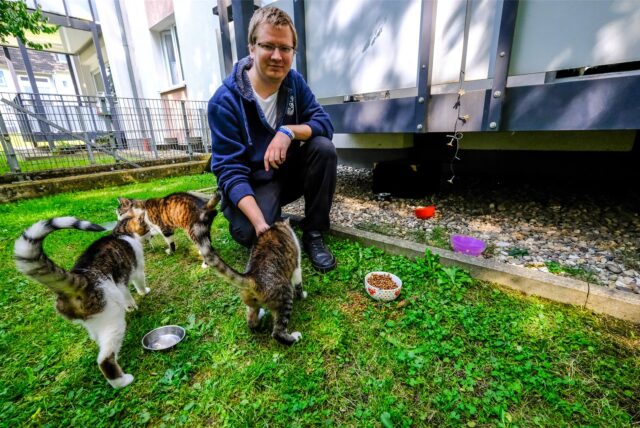 Kevin Mühleis füttert Katzen in einem Garten in Recklinghausen
