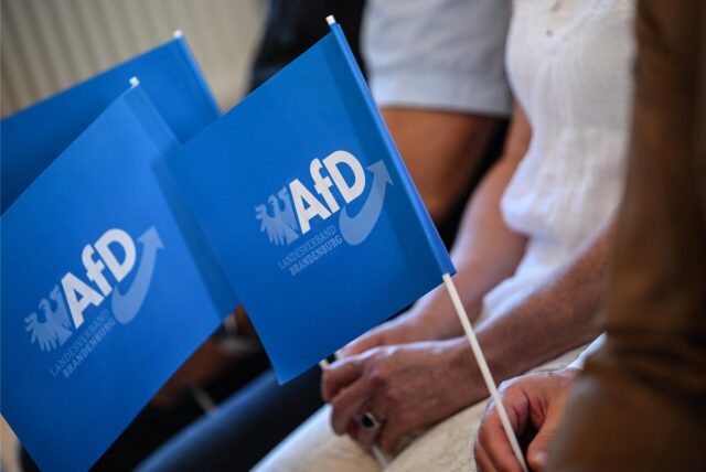 Teilnehmer schwenken Fahnen bei der Auftaktveranstaltung der AfD in Brandenburg zur Landtagswahl.