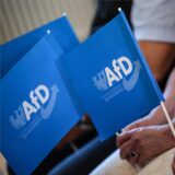 Teilnehmer schwenken Fahnen bei der Auftaktveranstaltung der AfD in Brandenburg zur Landtagswahl.